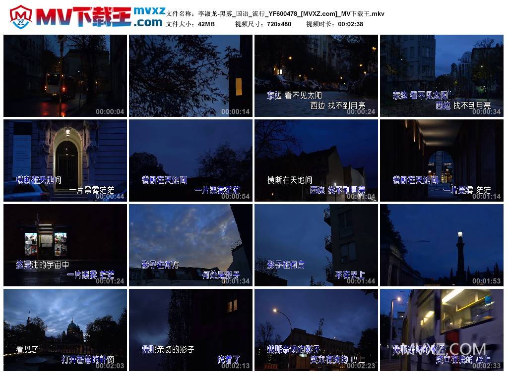 李淑龙-黑雾_国语_流行_YF600478